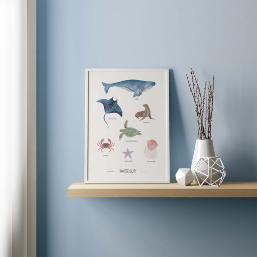 havsdjurs poster