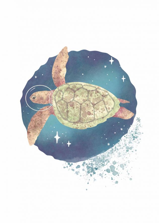 Havssköldpaddan och Stjärnorna