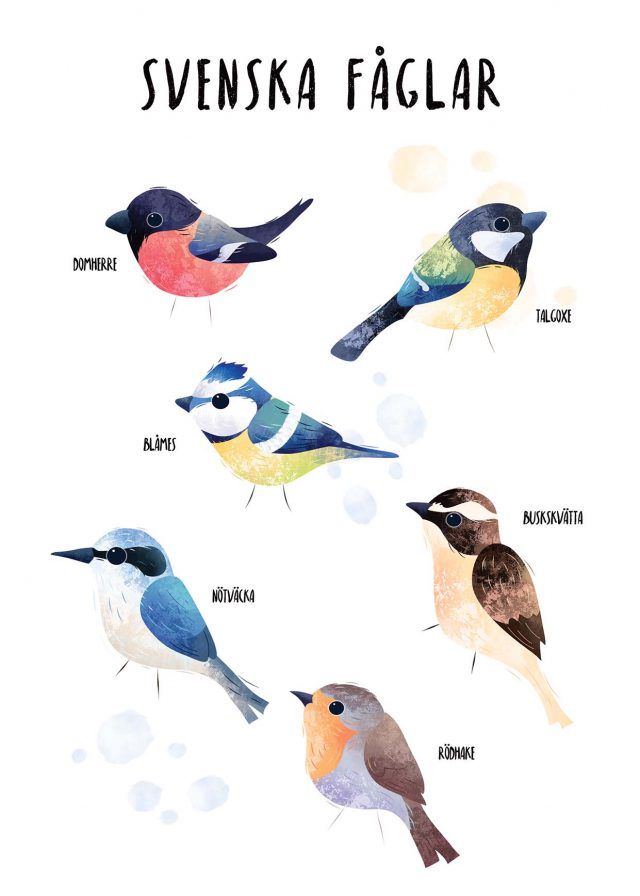 Svenska Fåglar